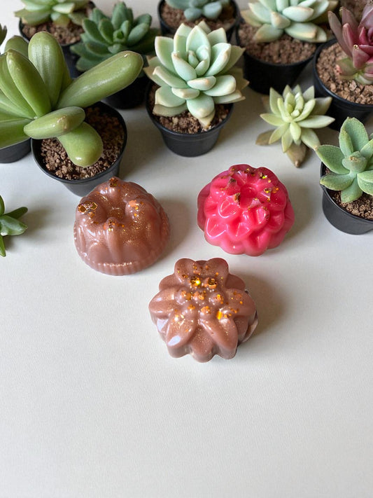 🌸 Lot de 3 fondants parfumés – 5 €