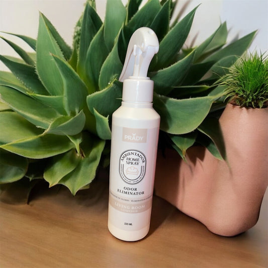 Spray d’Ambiance Salon – Prady 220ml